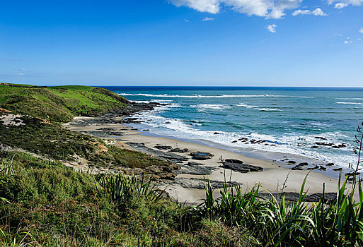海岸线,娱乐,自然保护区,港口,北国,西海岸,北岛,新西兰,大洋洲