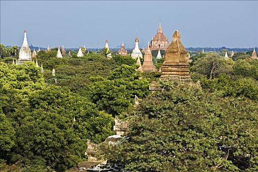 缅甸,蒲甘,古老,中心,朴素,朝代,建造,庙宇