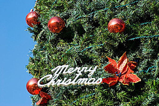 圣诞快乐,圣诞节,树,装饰
