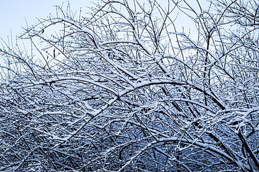 雪景