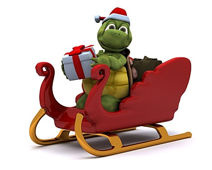 龟,圣诞老人