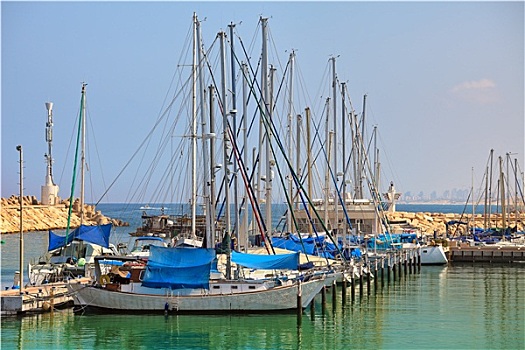 码头,游艇,地中海,城市,以色列
