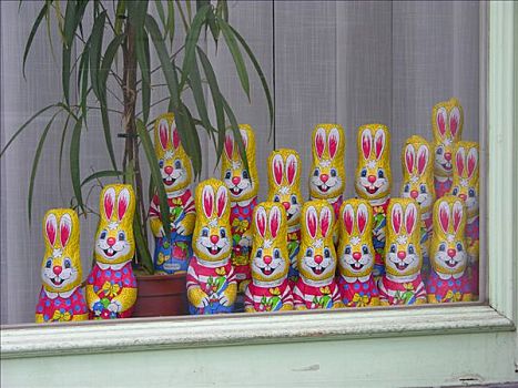 复活节兔子,向外看,窗