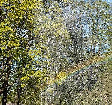 彩虹,抓住,水,公园,喷泉