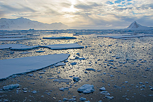 南极,靠近,阿德莱德,岛屿,浮冰,日落