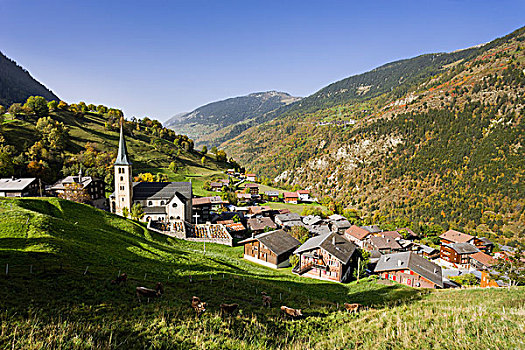 瑞士,瓦莱,风景,乡村