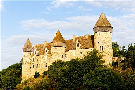 城堡,中心,法国