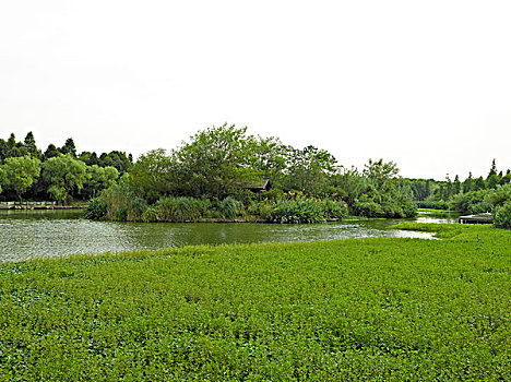杭州西溪湿地
