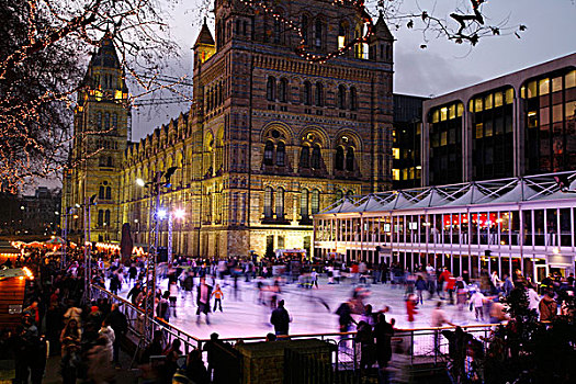 滑冰场,自然历史博物馆,南,肯辛顿,伦敦,英国