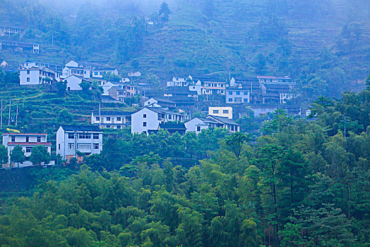 山,树林,雾气,云海,氤氲,绿色,树木,乡村