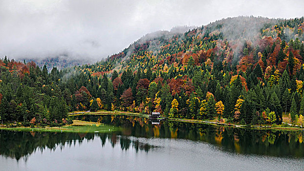 低,层云,高处,秋天,混合,针叶林,湖,上巴伐利亚