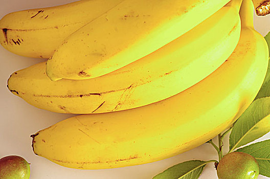 棚拍香蕉