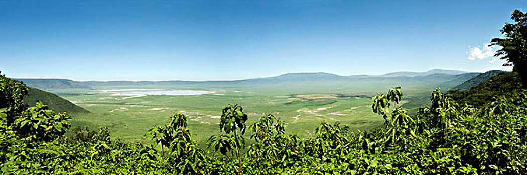 全景,恩戈罗恩戈罗火山口,世界遗产,塞伦盖蒂,坦桑尼亚,非洲