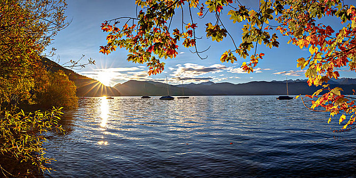 日出,湖,船,枫树,秋天,叶子
