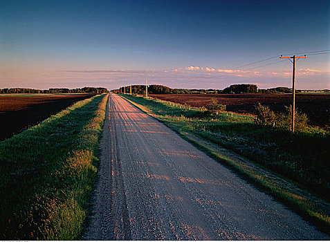 碎石路,日落,靠近,地点,曼尼托巴,加拿大