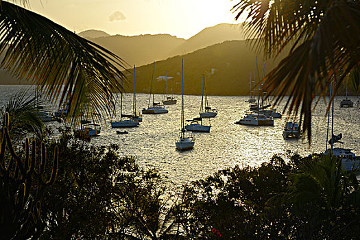 加勒比,英属维京群岛,码头,双体船,帆船,安克里奇,日落,大幅,尺寸