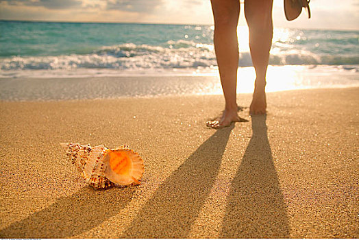女人,腿,海螺壳,海滩