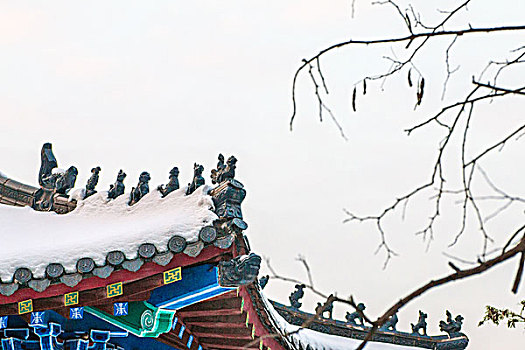 冬季覆盖积雪的松树和中国古建筑局部