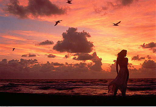 后视图,女人,站立,海滩,日落