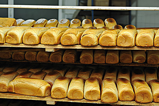 面包,糕点店,食物,工厂,制作,新鲜,商品