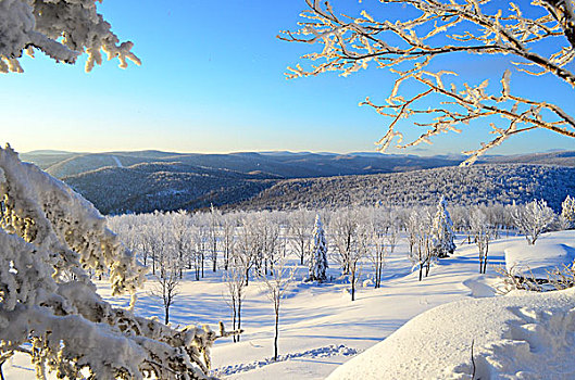 中国雪乡,羊草山,雪景,东北,黑龙江,牡丹江