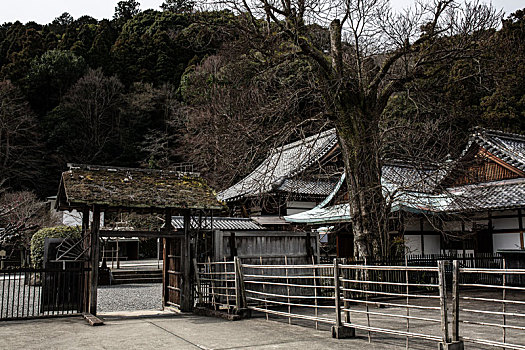 京都岚山法王寺