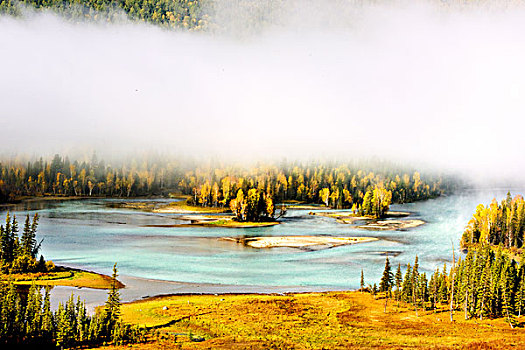 新疆,喀纳斯,河流,雾,杉树,秋天