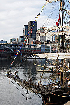 高,帆船,港口,蒙特利尔,魁北克,加拿大
