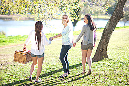 三个女人,年轻,野餐篮,公园
