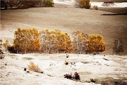 内蒙古乌兰布统大草原的秋色