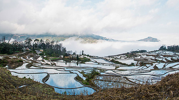 风景大片