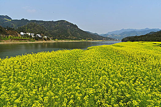 新安江山水画廊