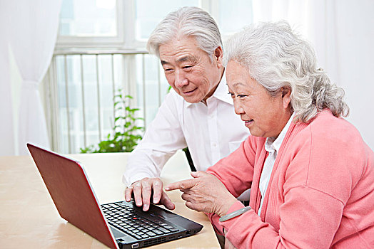 一对老年夫妇使用笔记本电脑