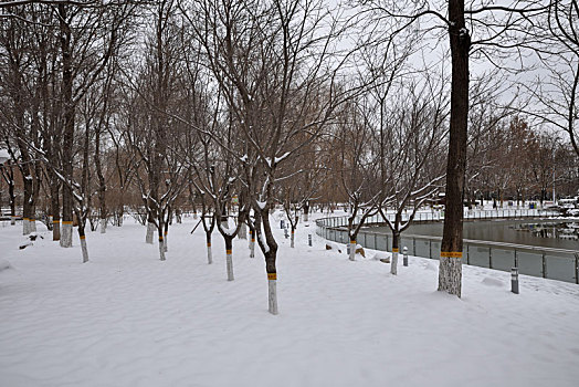 河北省石家庄市公园雪景