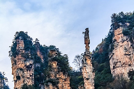 湖南省张家界市武陵源杨家界景区自然景观