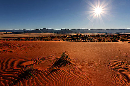 南方,山麓,纳米布沙漠,沙丘,后面,山,逆光,晨光,纳米比亚,非洲