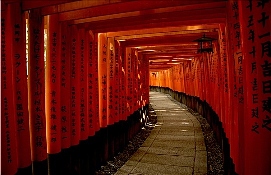 红色,大门,伏见稻荷大社,神祠,京都