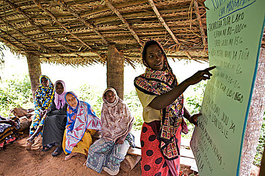 女人,模型,农民,培训课,桑给巴尔岛,坦桑尼亚,十二月,2008年
