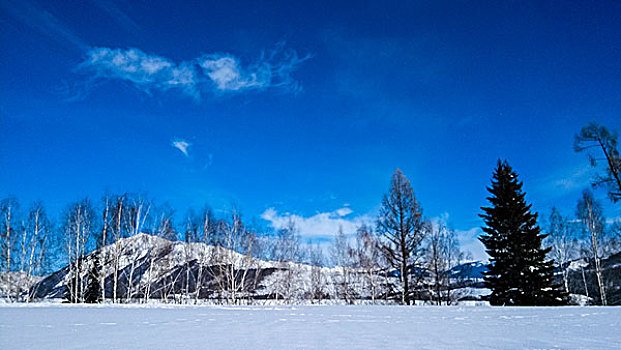 新疆喀纳斯禾木美丽峰雪景