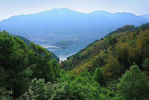 山水,树木,生态