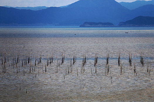 霞浦东壁海滩