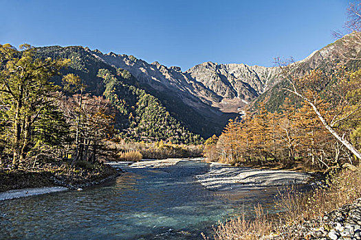 上高地,秋天,长野,日本