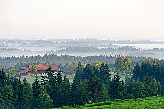 风景,地区,坏,秋天,雾,上巴伐利亚,巴伐利亚,德国,欧洲
