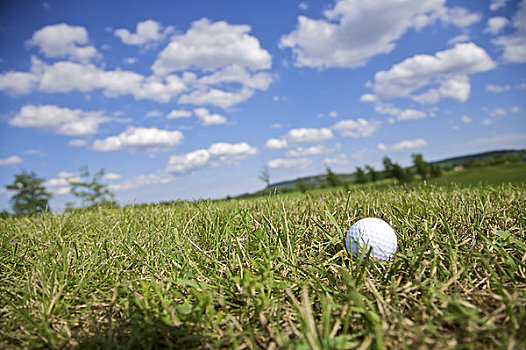高尔夫球,草丛,伯林顿,安大略省,加拿大