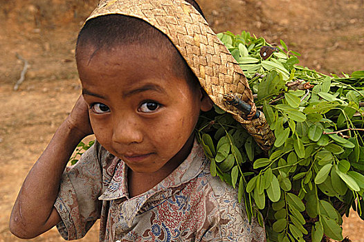 下巴,男孩,篮子,满,蔬菜,上方,头部,乡村,靠近,城镇,缅甸