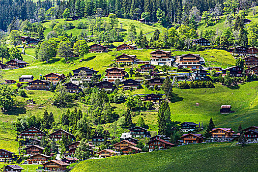 俯视,传统,木屋,山腰,乡村,格林德威尔,少女峰,伯恩高地,瑞士