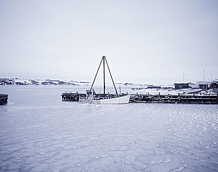 船,冰湖,港口,冬天,丹麦