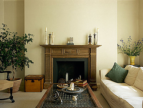 传统,黄色,起居室,雕刻,壁炉,沙发,盆栽植物,茶几
