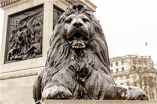 狮子,雕塑,特拉法尔加广场,伦敦,英国