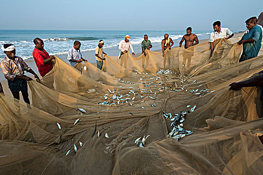 渔民,检查,渔网,喀拉拉,印度,亚洲